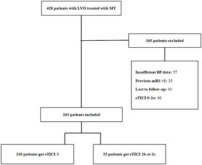 Reperfusion status and postoperative blood pressure in acute stroke patients after endovascular treatment